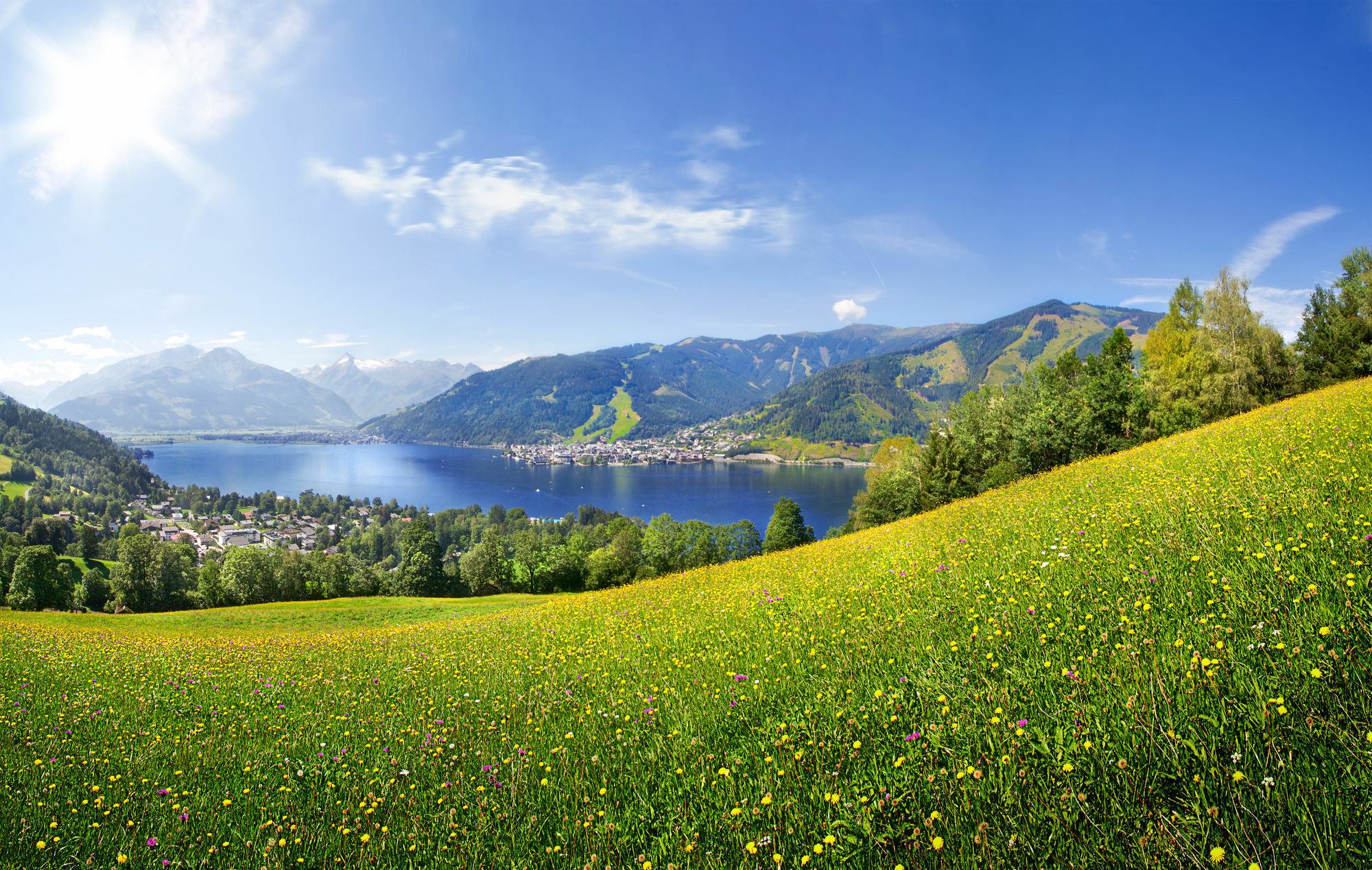 Appartements Trinker Zell am See Eksteriør billede